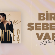 Bir Sebebi Var