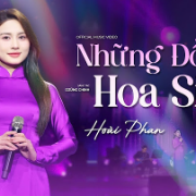 Những đồi hoa sim