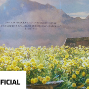 봄여름가을겨울 (still life)